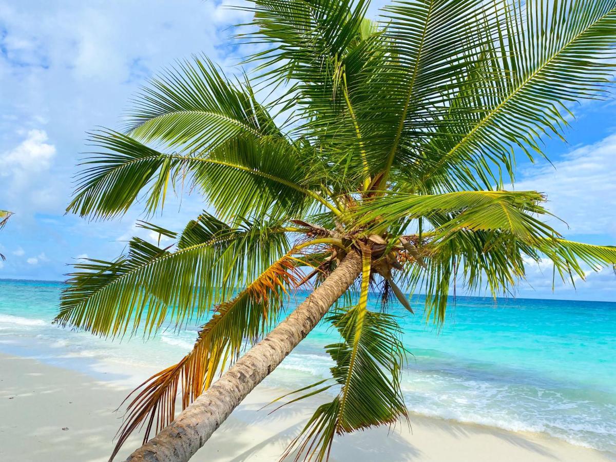 Tme Retreats Dhigurah Otel Dhigurah  Dış mekan fotoğraf