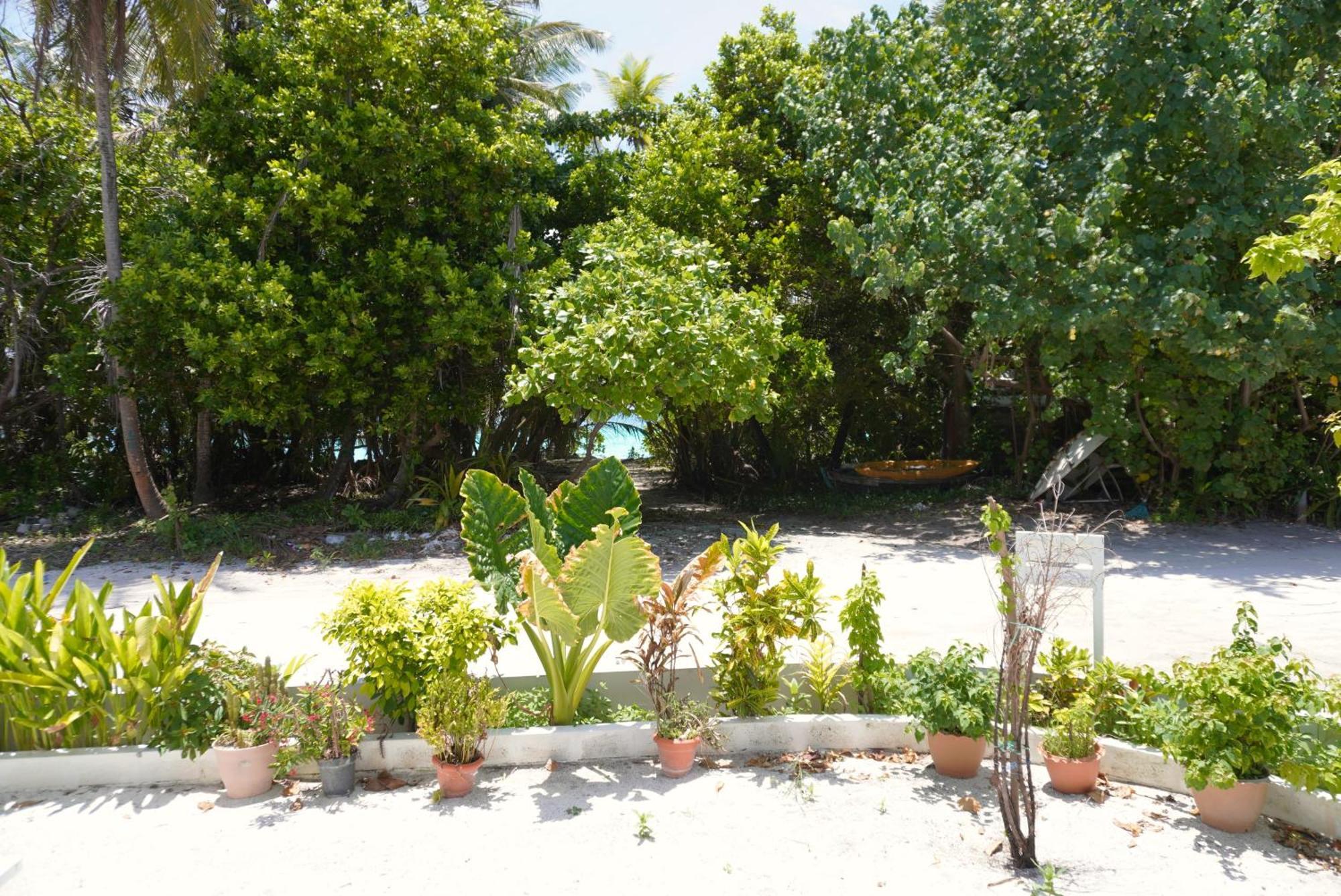 Tme Retreats Dhigurah Otel Dhigurah  Dış mekan fotoğraf